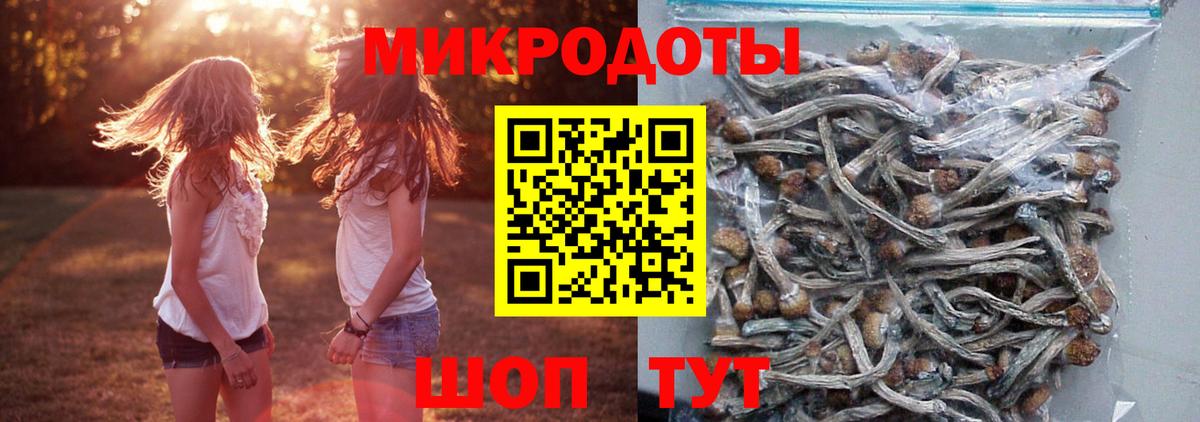 Галлюциногенные грибы ЛСД Ипатово